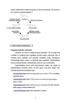 Referāts 'Dopamīns', 7.