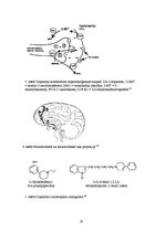 Referāts 'Dopamīns', 16.