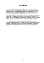 Referāts 'Privātās telefonu centrāles', 15.