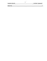 Referāts 'Prakses atskaite par aviokompāniju', 3.