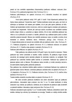 Referāts 'Ārpusstundu sporta pasākumi pozitīvu attieksmju attīstībai pret sporta stundām 7', 32.
