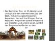 Prezentācija 'Sehenswürdigkeiten in Berlin', 20.