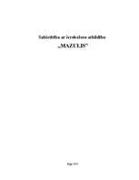 Biznesa plāns 'Biznesa plāns SIA "Mazulis"', 1.