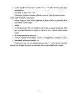 Biznesa plāns 'Biznesa plāns SIA "Mazulis"', 5.