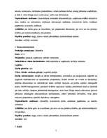 Biznesa plāns 'Biznesa plāns SIA "Mazulis"', 7.