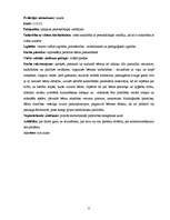 Biznesa plāns 'Biznesa plāns SIA "Mazulis"', 8.