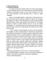 Biznesa plāns 'Biznesa plāns SIA "Mazulis"', 12.