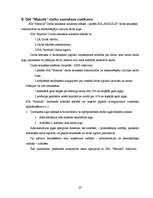 Biznesa plāns 'Biznesa plāns SIA "Mazulis"', 20.