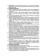 Biznesa plāns 'Biznesa plāns SIA "Mazulis"', 25.