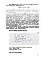 Prakses atskaite 'Ražošanas prakses atskaite ēdināšanas uzņēmumā', 16.