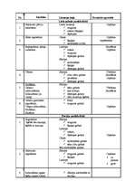 Prakses atskaite 'Ražošanas prakses atskaite ēdināšanas uzņēmumā', 19.