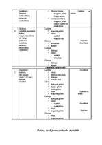 Prakses atskaite 'Ražošanas prakses atskaite ēdināšanas uzņēmumā', 20.