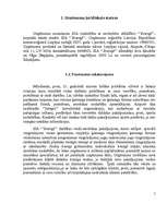 Biznesa plāns 'Biznesa plāns SIA "Svariņš"', 6.