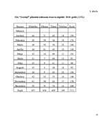 Biznesa plāns 'Biznesa plāns SIA "Svariņš"', 17.