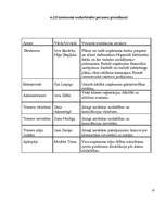 Biznesa plāns 'Biznesa plāns SIA "Svariņš"', 19.