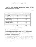 Biznesa plāns 'Biznesa plāns SIA "Svariņš"', 20.