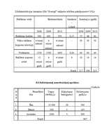 Biznesa plāns 'Biznesa plāns SIA "Svariņš"', 28.