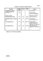 Konspekts 'Budžeta plāns uzņēmumam "A"', 3.