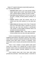 Referāts 'Tūrisma attīstība valsts neatkarības sākumposmā', 11.