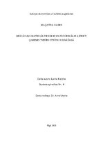 Paraugs 'MEDIĀCIJAS MATERIĀLTIESISKIE UN PROCESUĀLIE ASPEKTI ĢIMENES TIESĪBU STRĪDU RISIN', 1.