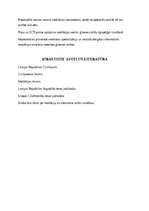 Paraugs 'MEDIĀCIJAS MATERIĀLTIESISKIE UN PROCESUĀLIE ASPEKTI ĢIMENES TIESĪBU STRĪDU RISIN', 6.