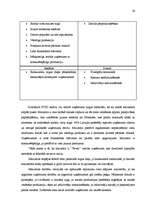 Referāts 'Mārketinga komunikāciju plāns SIA "Fazer maiznīca" ražotai maizei', 24.