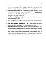 Referāts 'Mārketinga komunikāciju plāns SIA "Fazer maiznīca" ražotai maizei', 54.