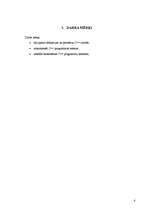 Referāts 'Programmēšanas valodas datortehnoloģijās', 4.