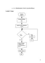 Referāts 'Programmēšanas valodas datortehnoloģijās', 21.