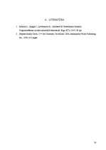 Referāts 'Programmēšanas valodas datortehnoloģijās', 28.