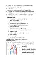 Konspekts 'Iedzimtība, ģenealoģija, hromosomas, evolūcija, alkoholisma bioloģiskie faktori', 12.