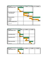 Konspekts 'Finanšu rādītāji un LP modeļu paraugi projektu ekonomiskās efektivitātes vērtēša', 12.