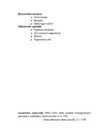 Konspekts 'Organizācija', 8.