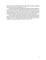 Referāts 'Viduslaiku mode', 11.