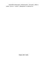 Konspekts 'Imants Ziedonis', 2.