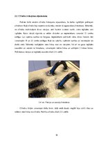 Prakses atskaite 'Dzinēji', 10.