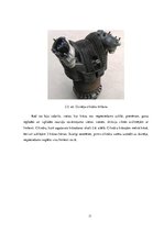 Prakses atskaite 'Dzinēji', 11.