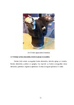 Prakses atskaite 'Dzinēji', 12.