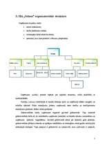 Referāts 'Vadīšanas teorija', 7.