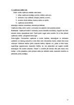 Referāts 'Vadīšanas teorija', 10.