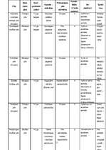 Referāts 'Kurzemes pilis', 11.