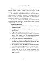 Referāts 'Kurzemes pilis', 14.