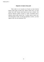 Referāts 'Kurzemes pilis', 28.