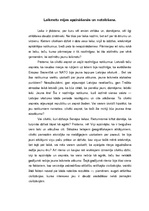 Eseja 'Laikmeta mijas apzināšanās un noteikšana', 1.