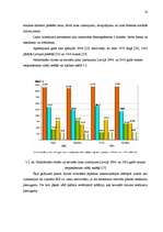 Referāts 'Mazo un vidējo uzņēmumu attīstība Bauskas rajonā', 14.