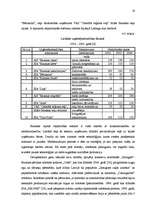 Referāts 'Mazo un vidējo uzņēmumu attīstība Bauskas rajonā', 19.