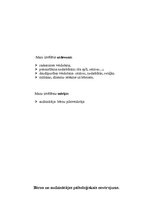 Prakses atskaite 'Pedagoģiski - psiholoģiskie vērojumi un bērnudārza skolotājas palīdzes prakse', 3.