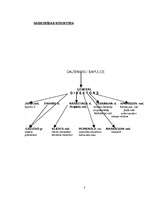 Referāts 'SIA "Super" personālvadības analīze', 3.