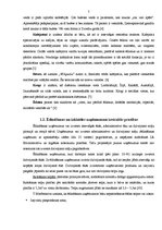 Diplomdarbs 'Ēdināšanas un izklaides kompleksa "X" izveides un attīstības projekts Vecrīgā', 7.