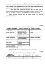 Diplomdarbs 'Ēdināšanas un izklaides kompleksa "X" izveides un attīstības projekts Vecrīgā', 41.